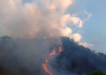 Karhutla di Sumbar Meluas, Lebih 500 Hektar Wilayah Terdampak