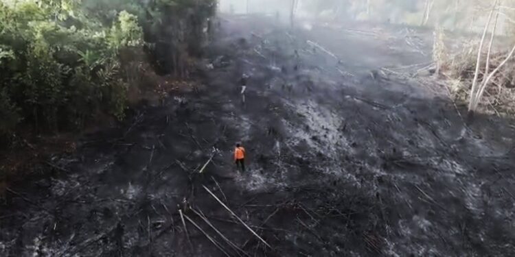Modifikasi Cuaca Dinilai Efektif Tangani Karhutla di Sumbar