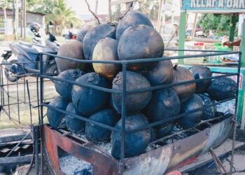 Manfaat Kelapa Bakar untuk Daya Tahan Tubuh dan Kesehatan Pencernaan
