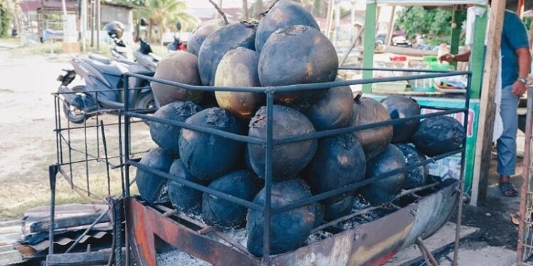 Manfaat Kelapa Bakar untuk Daya Tahan Tubuh dan Kesehatan Pencernaan