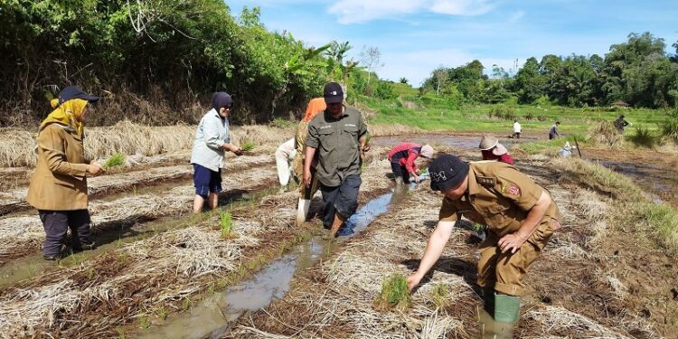 Program SPM Agam Hadapi Tantangan Kemarau, Pemkab Fokus Cari Solusi Pertanian Berkelanjutan