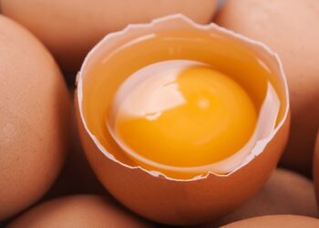 Sering Makan Telur Tidak Picu Kolesterol Jahat dalam Tubuh