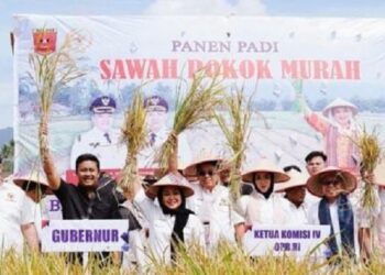 Pemprov Sumbar Dorong Ketahanan Pangan Lewat Sistem Sawah Pokok Murah