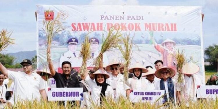 Pemprov Sumbar Dorong Ketahanan Pangan Lewat Sistem Sawah Pokok Murah