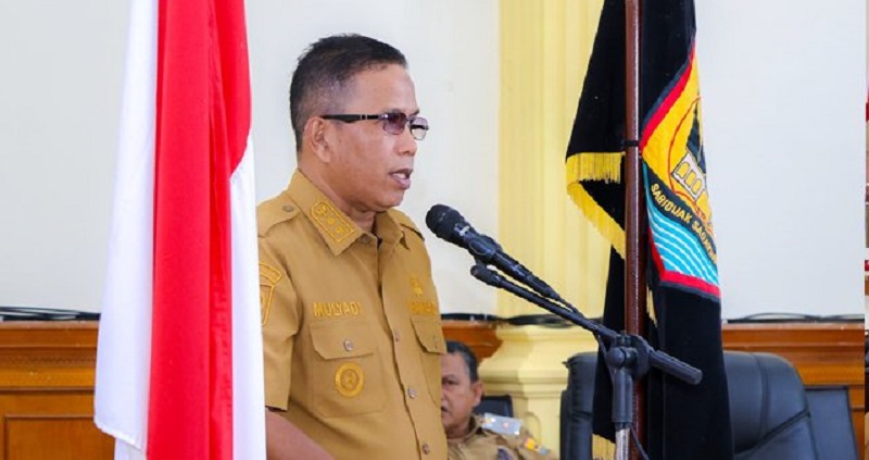 Wakil Wali Kota Pariaman Mulyadi (Foto: Ist)