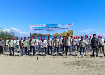 JSTC Sudah Lepas 60 Ribu Tukik, Kini Tanam 16 Ribu Mangrove di Pesisir Sumbar
