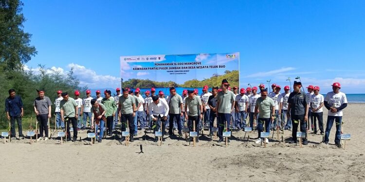JSTC Sudah Lepas 60 Ribu Tukik, Kini Tanam 16 Ribu Mangrove di Pesisir Sumbar