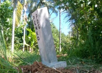 Pemko Padang Pasang Patok untuk Amankan Aset Tanah Hingga Oktober 2025