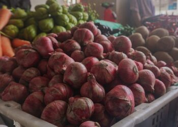 Harga Bawang Merah di Padang Panjang Turun, Pasokan Melimpah Jadi Pemicu