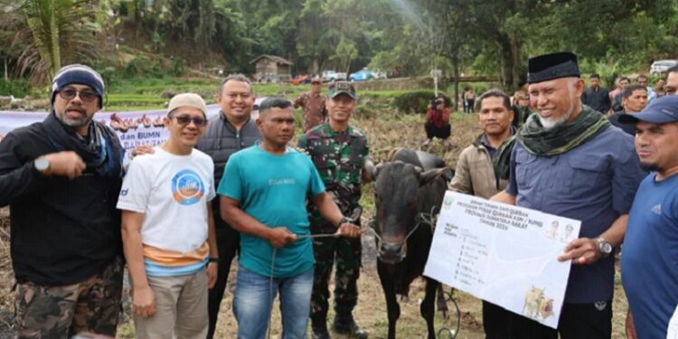 Dua Nagari di Kabupaten Solok Terima Bantuan Kurban dari Gubernur