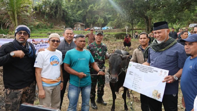 Dua nagari di Kabupaten Solok menerima bantuan tiga ekor hewan kurban dari Gubernur Sumbar Mahyeldi Ansharullah, Sabtu (7/6/2025). (Foto: Ist)