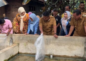 Wagub Sumbar, Vasco Ruseimy memberikan indukan lele kepada pembudidaya di Pariaman.[foto : ist]