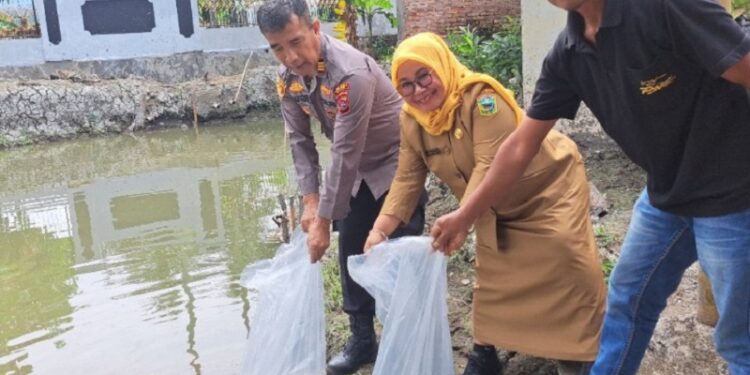 Pemkab Solok Tebar 1.500 Bibit Ikan Nila di Kolam Polsek Kubung