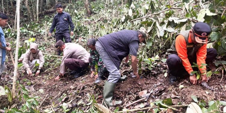 Dorong Program Integrated Farming, Wabup Solok Tinjau Perkebunan Kopi Ulu Rimbo Paninggahan