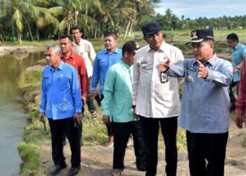 Irigasi di Batang Inango Jebol, 50 Hektare Sawah di Tiku Selatan Terancam