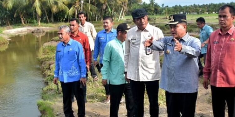 Irigasi di Batang Inango Jebol, 50 Hektare Sawah di Tiku Selatan Terancam