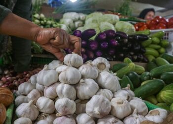 Harga Sejumlah Pangan di Padang Panjang Turun, Cabai Merah Justru Melonjak