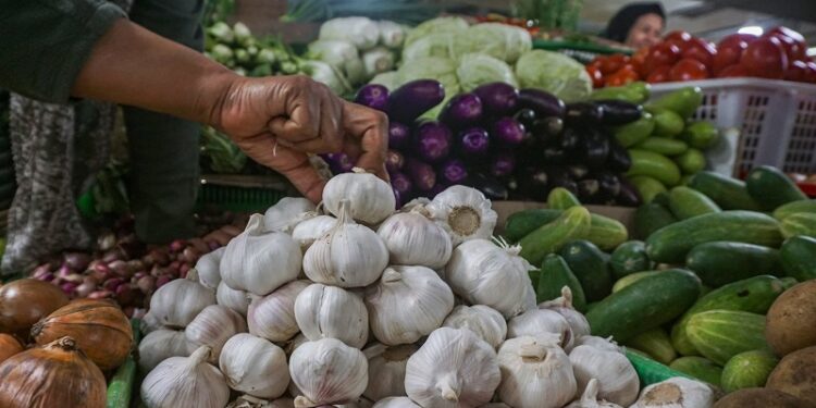 Harga Sejumlah Pangan di Padang Panjang Turun, Cabai Merah Justru Melonjak