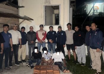 BNNP Sumbar Gagalkan Peredaran Ganja 50 Paket Besar dan Amankan 3 Tersangka