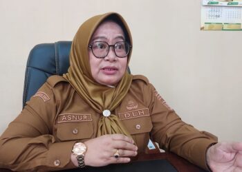 Kadis DLH Asnur: WCD Bukan Rutinitas, Tapi Gerakan Moral untuk Kabupaten Solok Bersih