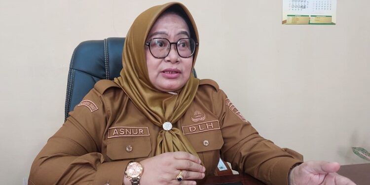Kadis DLH Asnur: WCD Bukan Rutinitas, Tapi Gerakan Moral untuk Kabupaten Solok Bersih