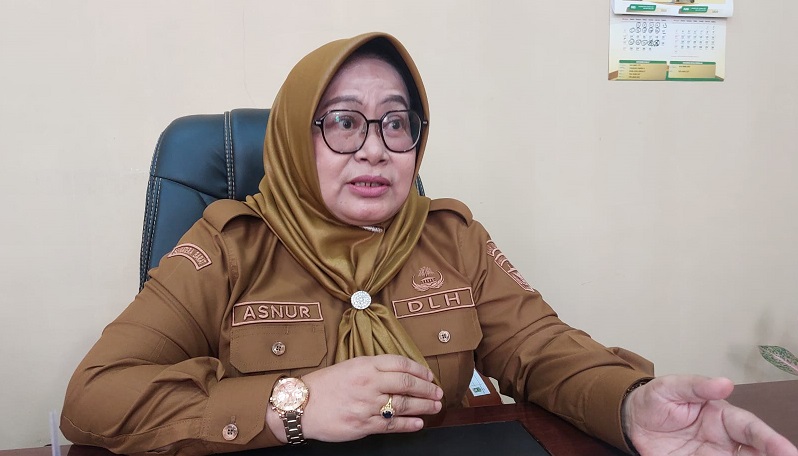 Kadis Lingkungan Hidup Kabupaten Solok, Asnur (Foto: Ist)