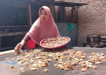 Sri Zikra Ubah Kulit Hiu Jadi Kerupuk Gurih, UMKM Padang Makin Berdaya