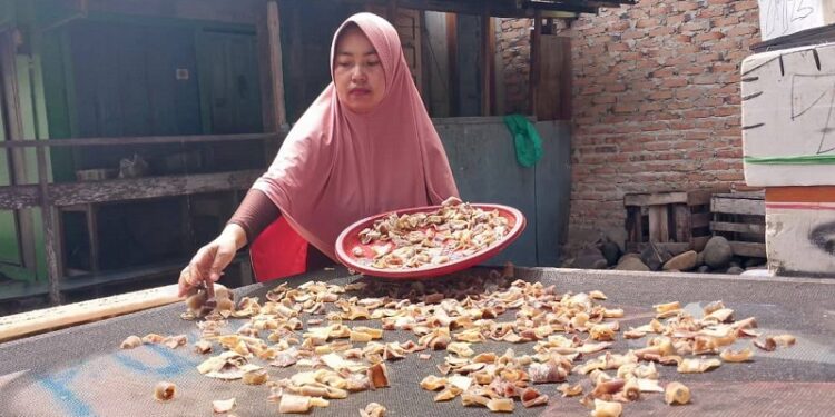 Sri Zikra Ubah Kulit Hiu Jadi Kerupuk Gurih, UMKM Padang Makin Berdaya