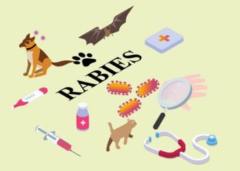 Marak Anjing Liar, Bupati Pesisir Selatan Imbau Warga Waspadai Rabies