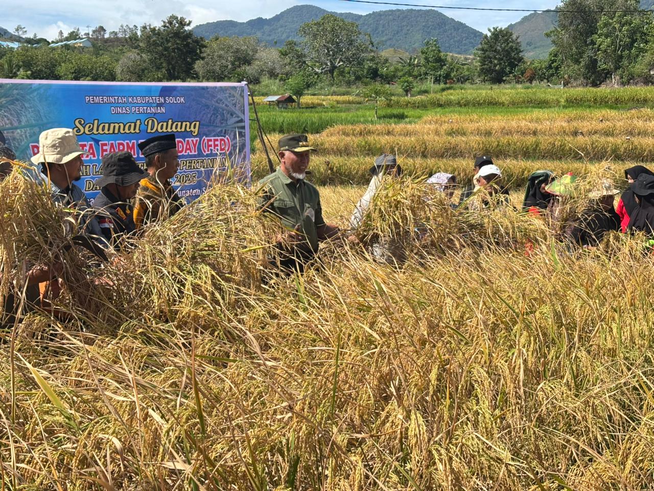Kegiatan panen raya sekaligus penutupan program tersebut dihadiri langsung oleh Gubernur Sumatera Barat, Mahyeldi Ansharullah di Nagari Paninggahan.[foto : ist]