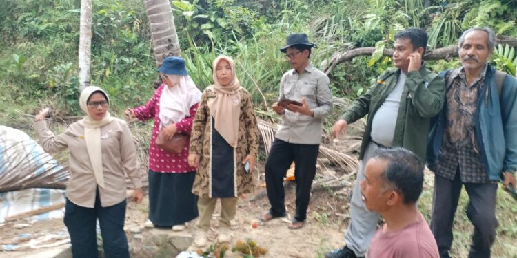 Zalmadi Puji Respons Cepat Dinas Pertanian Padang Tangani Lahan Terdampak Bencana