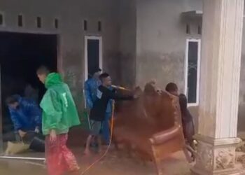 Relawan PKB Sumbar Turun ke Batang Anai, Bersihkan Rumah Warga yang Masih Tertutup Material Banjir
