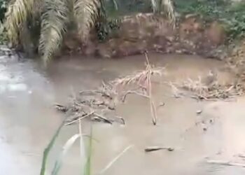 Diduga Buang Limbah ke Sungai, PT Dharmasraya Lestarindo Jadi Sorotan Warga