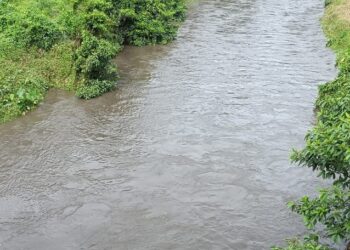 Sungai Suir Berubah Hitam Kecoklatan, Warga Duga Akibat Limbah PT TKA