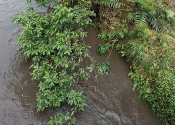Siklus Pencemaran Berulang: Pasca Dilepas Keluarga Prabowo, PT TKA Dilaporkan 5 Kali dalam 3 Tahun