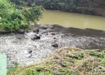 Pemprov Sumbar Sanksi Denda PT TKA Rp737 Juta, ini Sebabnya