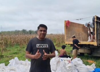 Menjanjikan, Walnag Sipangkur Ajak Pemuda Kelola Jagung di Lahan Tidur