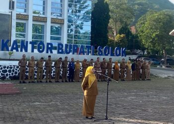 Kepala Dinas PUPR Kabupaten Solok, Effia Vivi Fortuna AD, ST, MM (Foto: Ist)