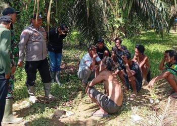 Oknum SAD Diduga Resahkan Warga Dharmasraya, Tempati Lahan dan Rusak Tanaman Produktif