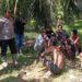 Oknum SAD Diduga Resahkan Warga Dharmasraya, Tempati Lahan dan Rusak Tanaman Produktif
