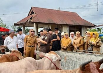 Jelang Lebaran, Pemkab Solok Sidak Harga Sembako di Pasar Muara Panas