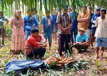 Diduga Akhiri Hidup, Pemuda di Dharmasraya Tewas Tergantung
