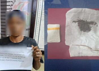 Satresnarkoba Polres Dharmasraya Tangkap Pengguna Narkoba Jenis Ganja