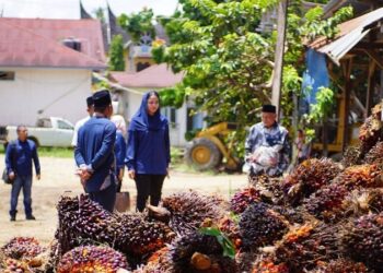 Harga Sawit Turun, Bupati Annisa Imbau Tegas Pabrik