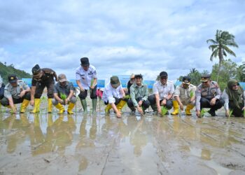 Rehabilitasi Sawah Pascabencana di Sumbar Dipercepat, Rp455 Miliar Digelontorkan untuk Pemulihan Pertanian