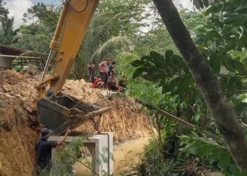 Amblas, Pemkab Dharmasraya Sigap Bangun Jembatan Darurat
