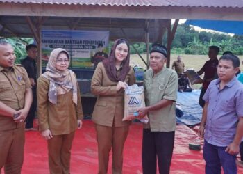 Kelompok Tani di Nagari Sitiung Terima Bantuan Alsintan