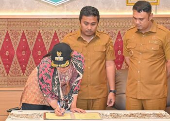 Sumbar Usulkan Koridor Sawahlunto–Sijunjung–Dharmasraya Jadi Proyek Strategis Nasional