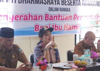 Program Unggulan Annisa-Leli Berlanjut, 251 Ibu Hamil dan Menyusui Terima Bantuan