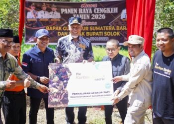 Gubernur dan Bupati Solok Panen Raya Cengkeh di Paninggahan